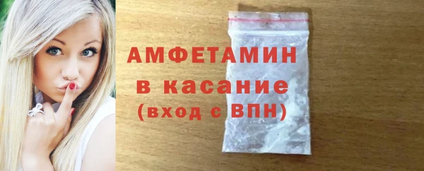 сатива Каменка