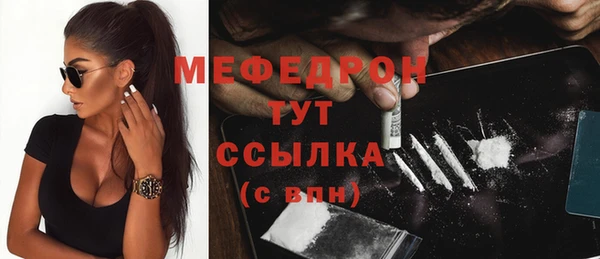сатива Каменка