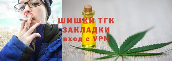 сатива Каменка