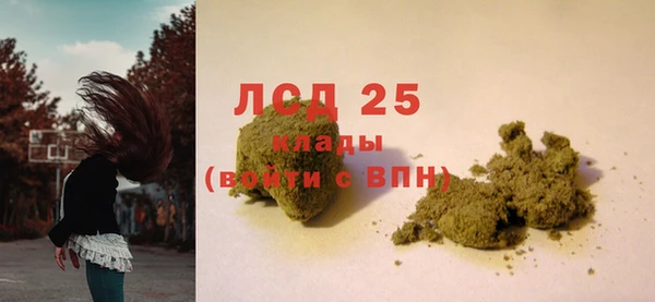 герыч Каменногорск