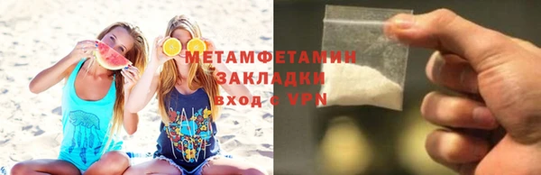 сатива Каменка