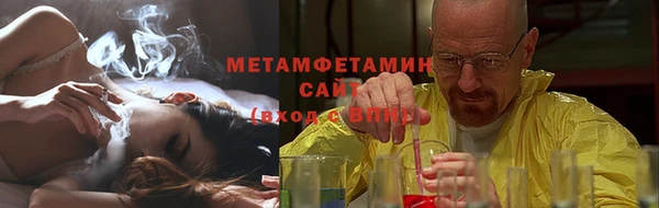 сатива Каменка