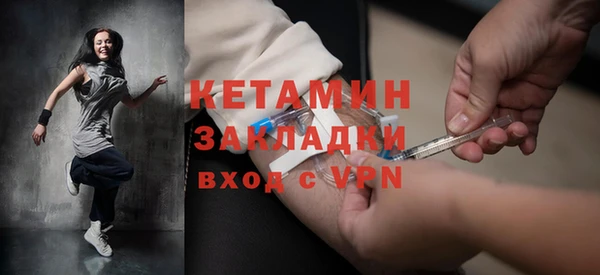 сатива Каменка