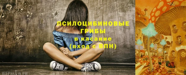 синтетический гашиш Каменск-Шахтинский
