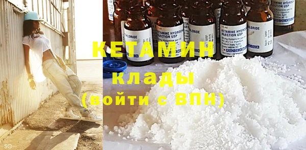 сатива Каменка