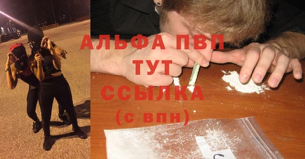 герыч Каменногорск