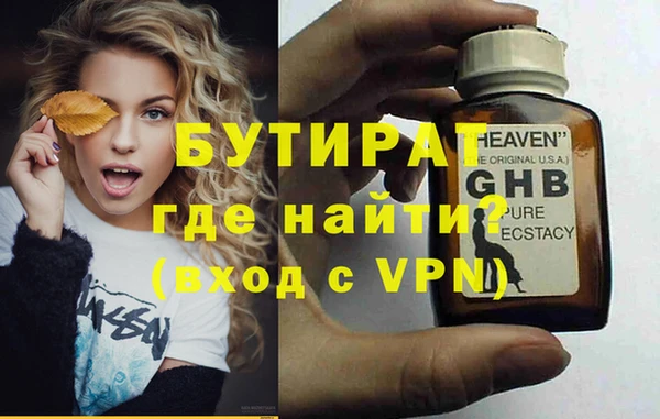 сатива Каменка