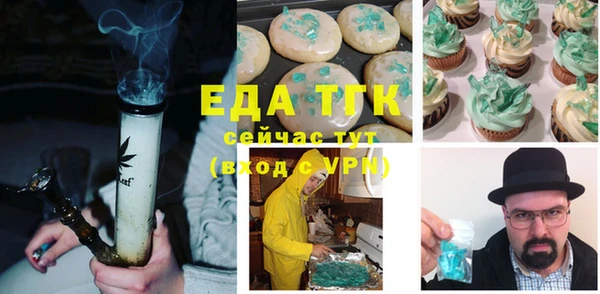 сатива Каменка