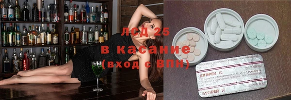 сатива Каменка