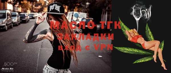 сатива Каменка