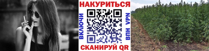 Бошки марихуана VHQ  Купить  Александров 